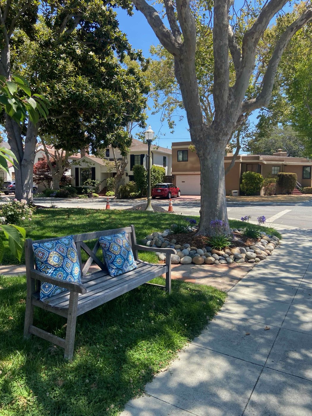 An Aragon corner in full sun: a mature sycamore over a planting bed, a white stucco house with a tiled roof and arched entry across the street, and a wooden bench on the front lawn