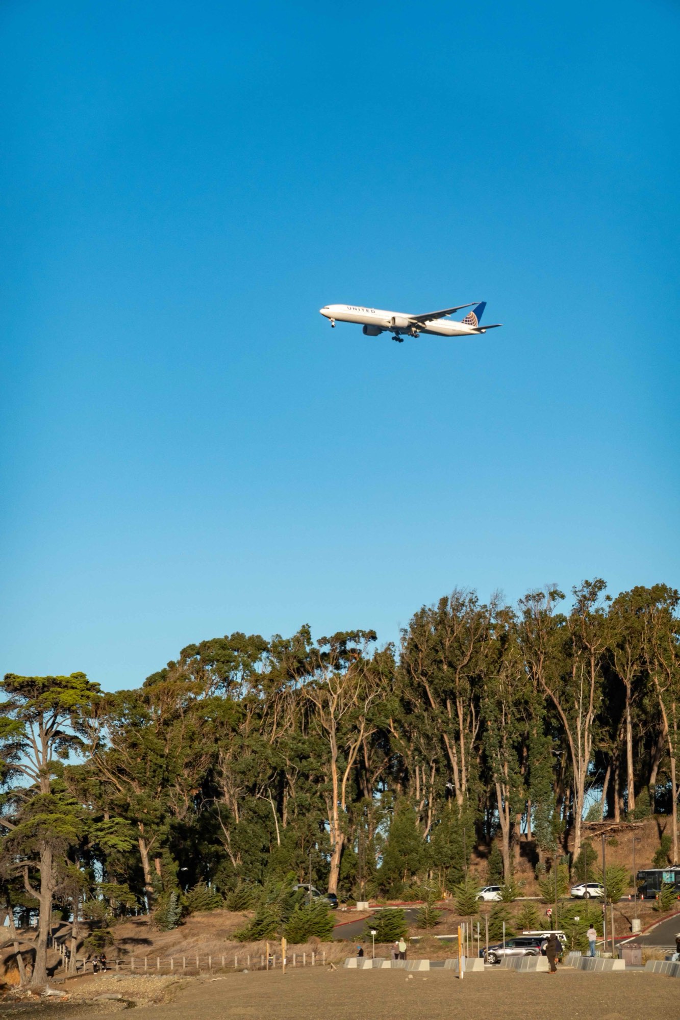 A United jet on approach to SFO passing low over the eucalyptus grove at Coyote Point, with the beach and the parking below it
