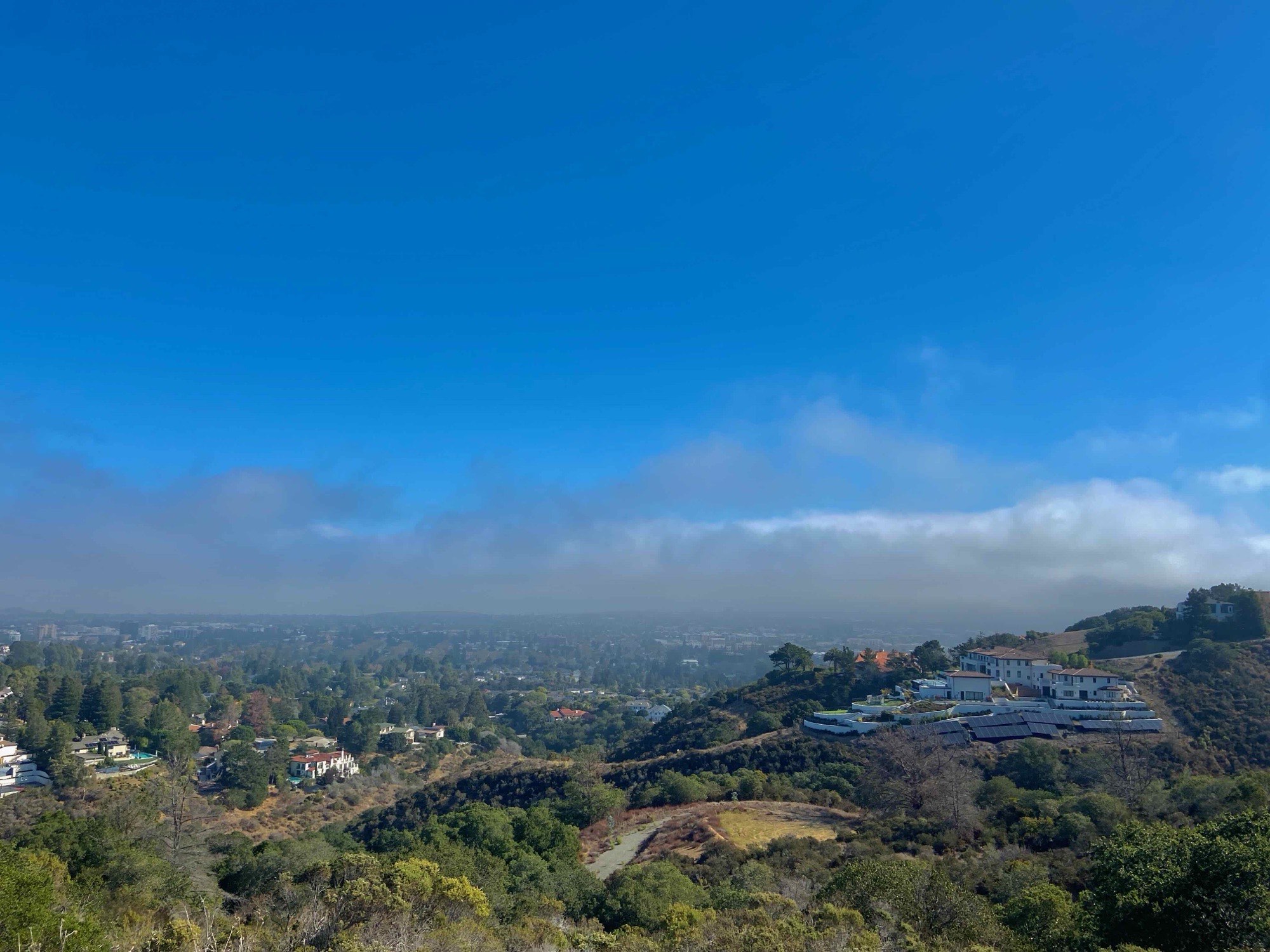 San Mateo seen from the hills — houses on the ridge, the city below, and the marine layer lying flat over the flats and the Bay