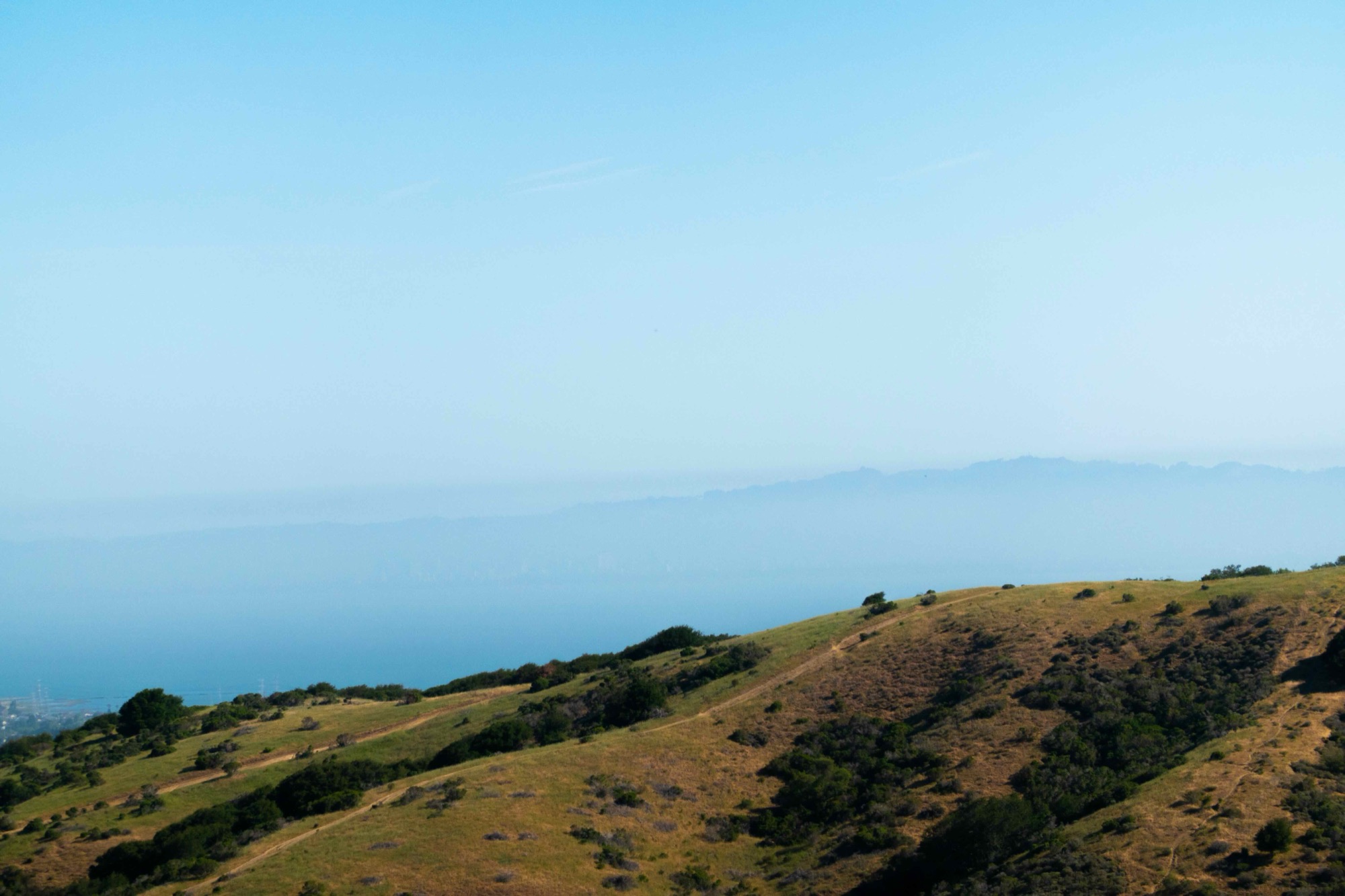 Open grassland on the ridge above San Mateo, dry gold and cut by foot trails traversing the slope, with the Bay and the far hills flattened into haze below